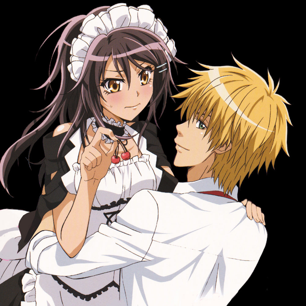 Kaichou wa Maidsama procostumes